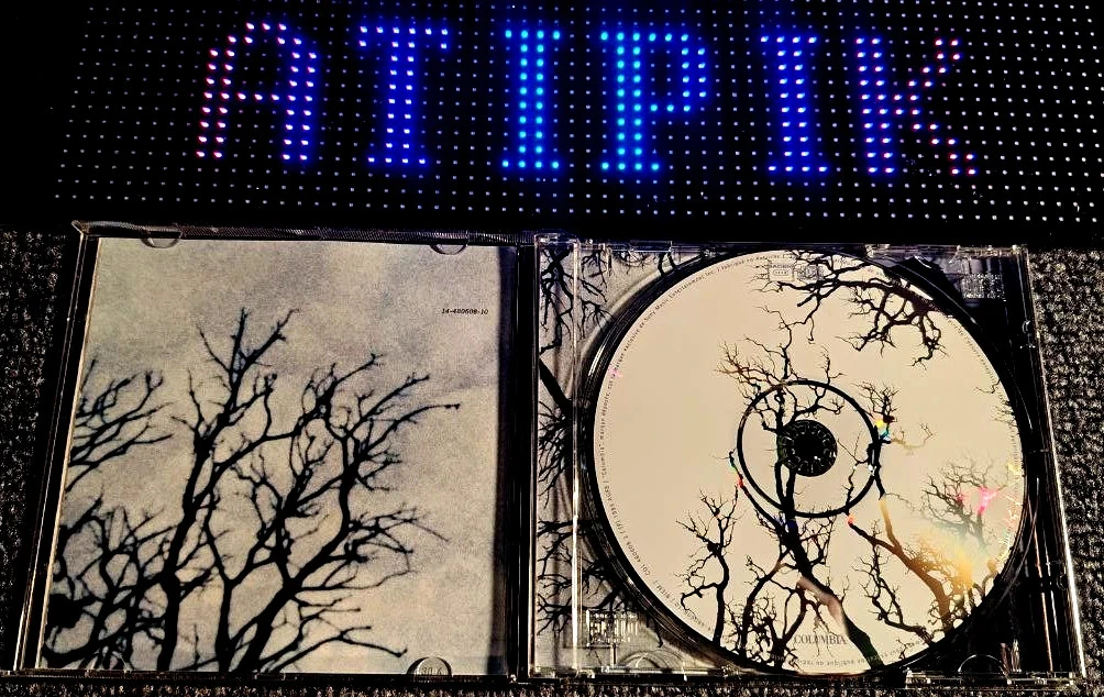 🌳 "I Muurini - Curagiu": ¡la Córcega como nunca antes la habías escuchado! – photo 3